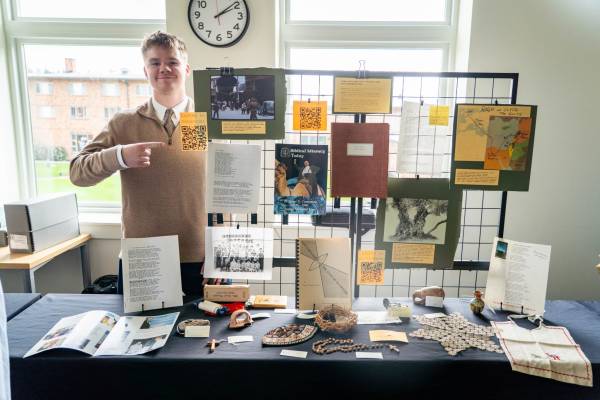 Volleyball player setting Volleyball player setting