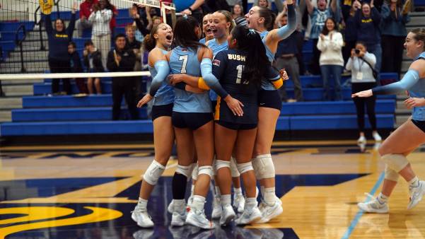 Group of volleyball players celebrating Group of volleyball players celebrating