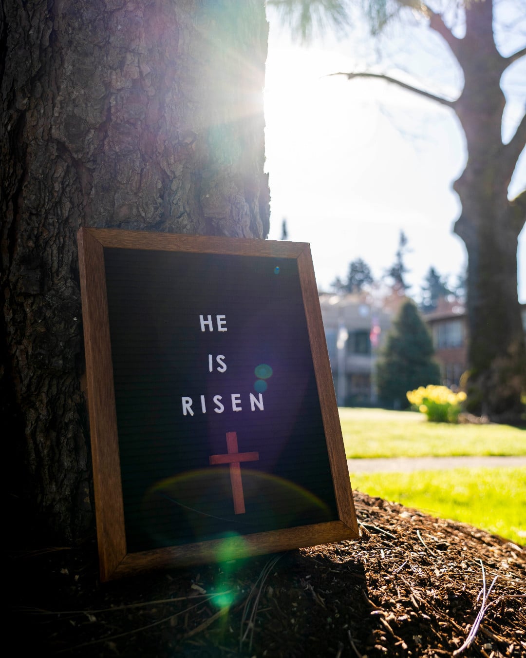 He is risen! ✝️ Happy Easter from Bushnell University!
Amidst the busyness of the season, let us all take the time to celebrate Christ's resurrection. 

"Praise be to the God and Father of our Lord Jesus Christ! In his great mercy he has given us new birth into a living hope through the resurrection of Jesus Christ from the dead,"
- 1 Peter 1:3