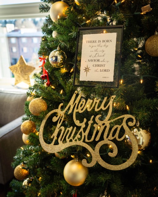 Our campus is feeling festive this Christmas. 🎄✨