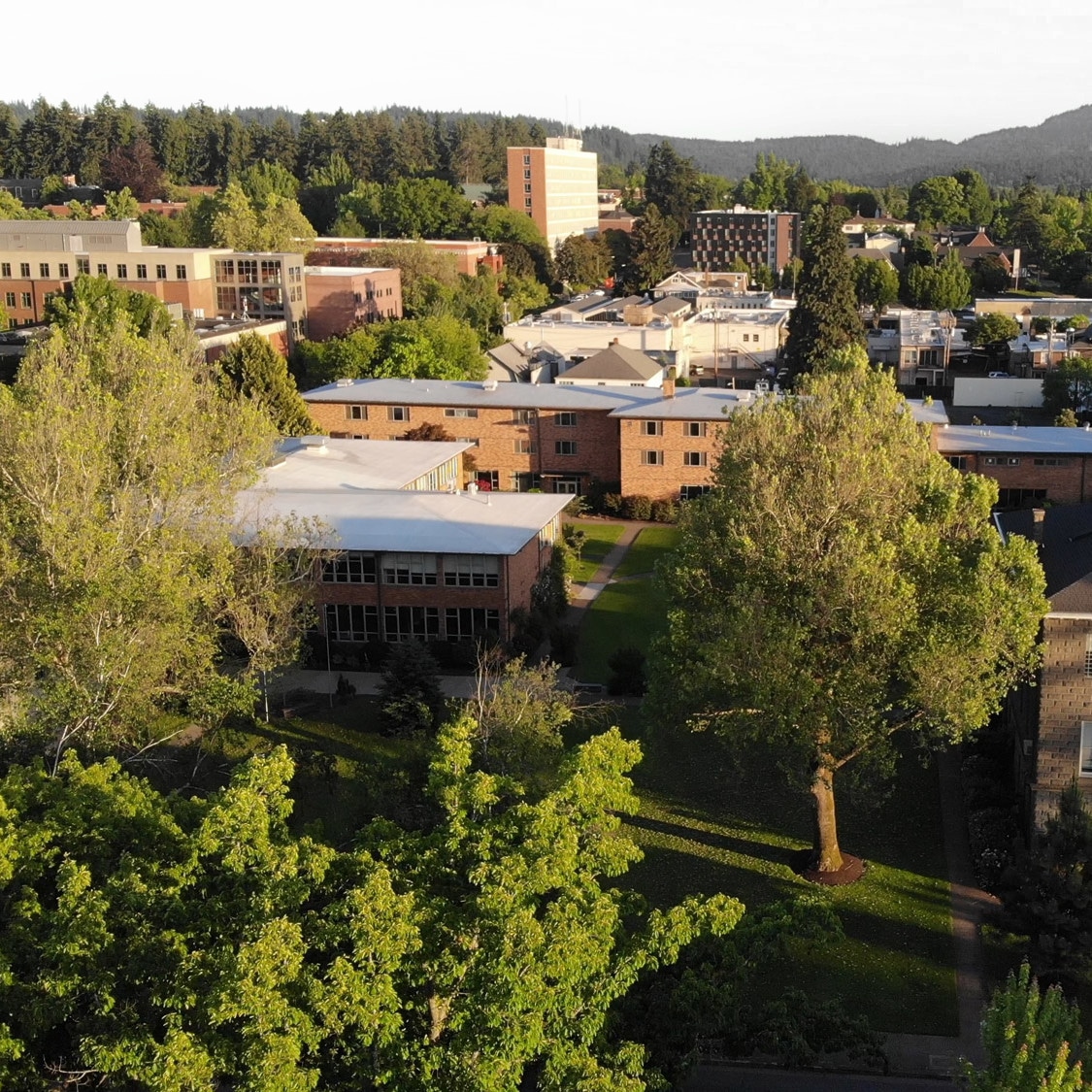 CampusDrone