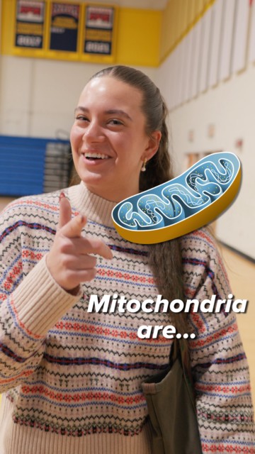 Our students have a lot on their minds in these last few weeks of the fall semester. 🧠
While their brains are filled with finals prep, we took a moment to check in and see if they still remember this important biology fact!