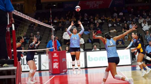 Volleyball player setting