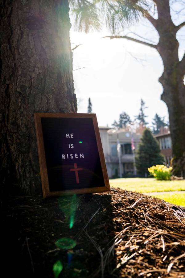 photo of sign outside against tree